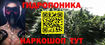хмурый Брянск