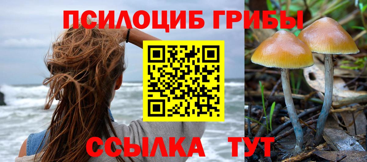 Галлюциногенные грибы Magic Shrooms Выборг