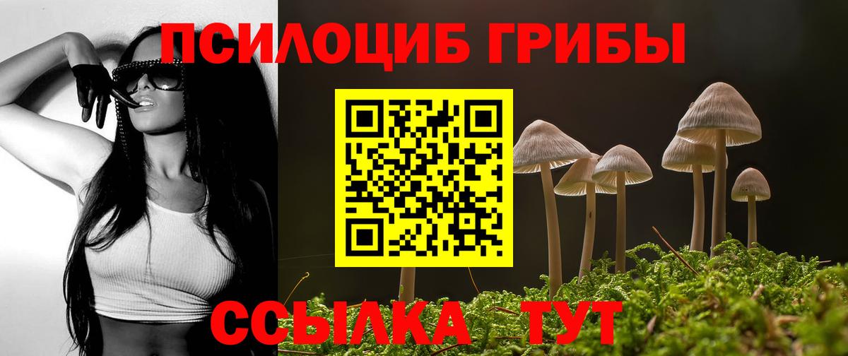 Выборг  Галлюциногенные грибы Cubensis  Вход с VPN 