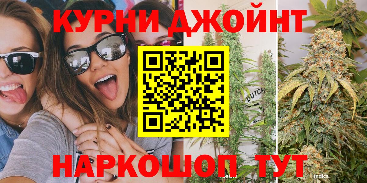 Каннабис SATIVA & INDICA Выборг